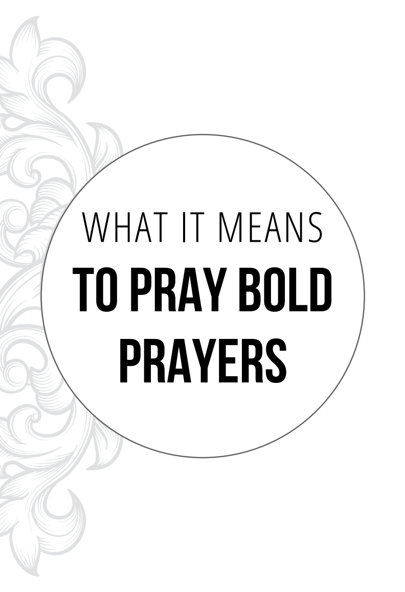 Praying Bold Prayers Book & Journal Bundle
